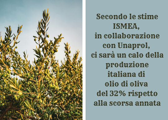 diminuzione produzione olio.png